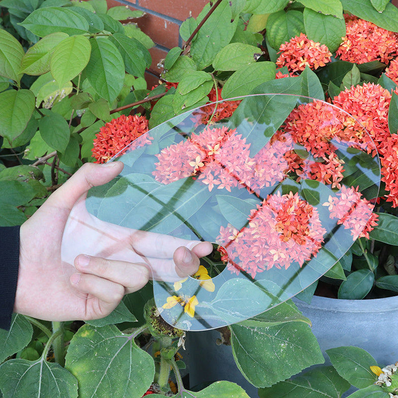 Acrylic Paint Palette